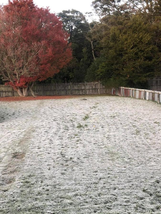 Moore St Cottage Ohakune Zewnętrze zdjęcie